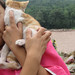 Ying Zhang Photo 41