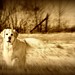 Ruby Hunt Photo 35