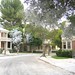 Carol Waggoner Photo 17