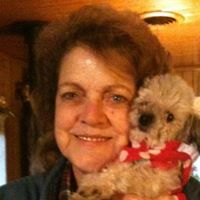 Sally Robertson Photo 26
