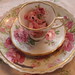 Rose Bear Photo 19