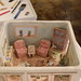 David Furman Photo 46