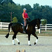 Susan Knutson Photo 23