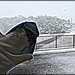 Joseph Snow Photo 21