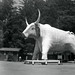 Paul Early Photo 18