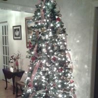 Lisa Maloney Photo 21