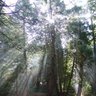 Elizabeth Gault Photo 14