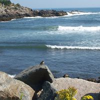 Susan Vanderpool Photo 4