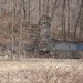 Kent Miles Photo 8
