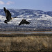 Jeff Ogden Photo 26