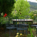 Martin Terrazas Photo 16