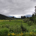 Thomas Mendenhall Photo 14
