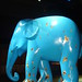 Gerald Gerald Photo 16