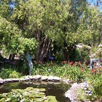 Deborah Sprague Photo 21