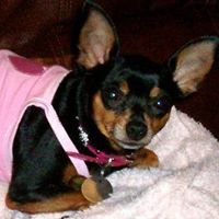 Gidget Spencer Photo 4
