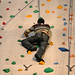 Robin Meehan Photo 16