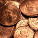 Elizabeth Shilling Photo 10
