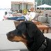 Patsy Summers Photo 15