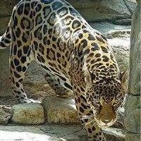 Curtis Prather Photo 8