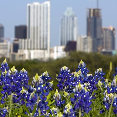 Mary Ferrell Photo 42