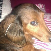 Hayden Blackwell Photo 3