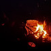 Debbie Stokes Photo 22