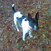 Chester Godwin Photo 7