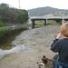 Gail Bird Photo 11