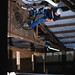 Travis Lyons Photo 11