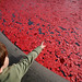 Helen Atkinson Photo 6