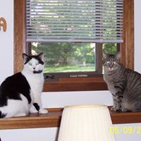 Teresa Parson Photo 16