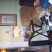 Diana Doyle Photo 16