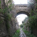 Susan Gault Photo 4