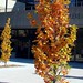 Raymond Robillard Photo 11