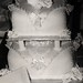 Carol Matthews Photo 39
