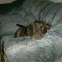 Barbara Culp Photo 17
