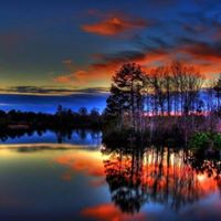 Elizabeth Gunter Photo 30