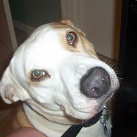 Rebecca Byers Photo 9