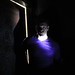 Dawn Bauman Photo 21