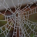 Misty Weathers Photo 10