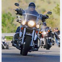 Cindy Boyer Photo 39