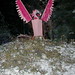 Teri Potter Photo 14
