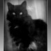 Tabitha Long Photo 33