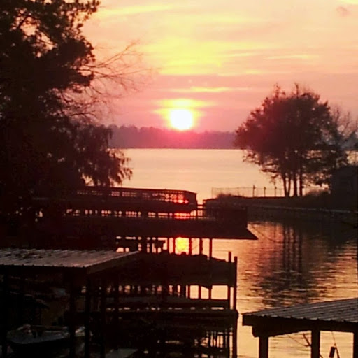 Cynthia Henson Photo 19