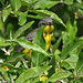 Jim Canada Photo 18