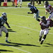 Michael Falcon Photo 18