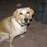 Bobby Peck Photo 12