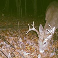 Gregg Cline Photo 4