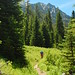 Deborah Mountain Photo 11