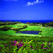 Sandy Lane Photo 35